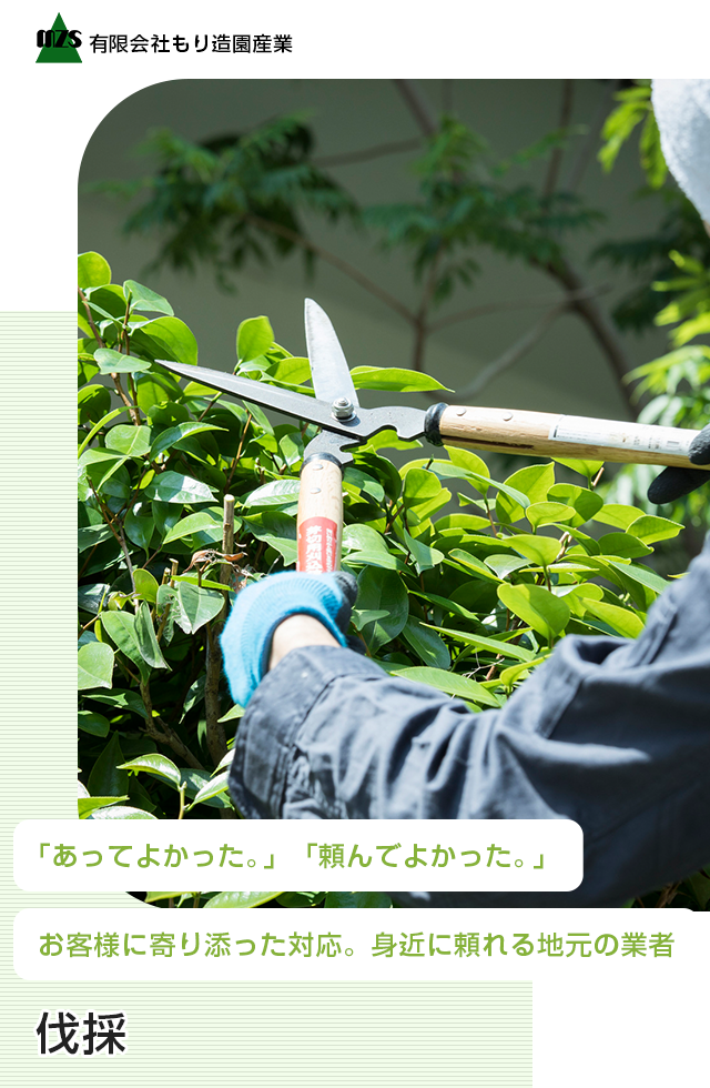 公式HP】伐採、外構│解体工事│遺品整理・不用品回収│有限会社もり